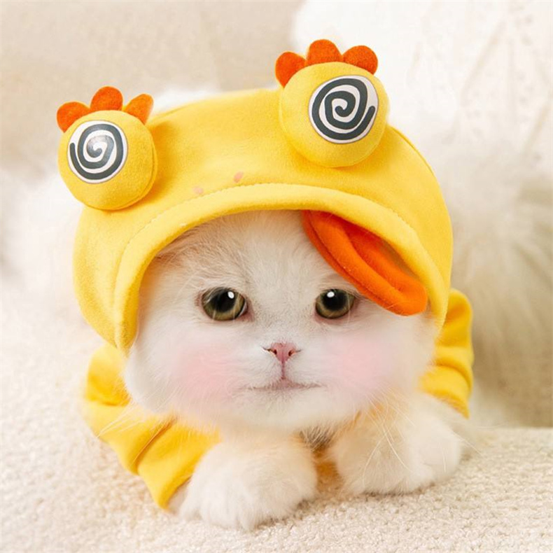 SKU-04-4 cat dress pet clothes.jpg